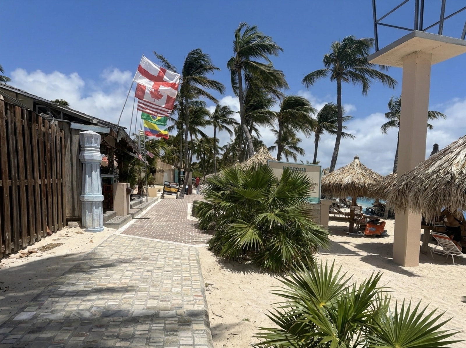 The Palm Beach beachfront walkway with palms and palapas